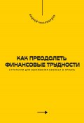 Как преодолеть финансовые трудности. Стратегии для выживания бизнеса в кризис (Андрей Миллиардов, 2025)