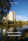 Память моего микромира (Василий Бобырь, 2025)