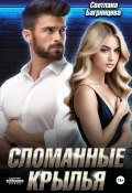 Сломанные крылья (Светлана Багрянцева, 2025)
