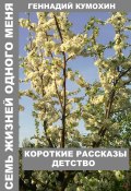 Семь жизней одного меня. Короткие рассказы. Детство (Геннадий Кумохин, 2025)