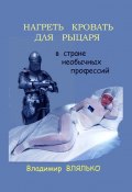 Нагреть кровать для рыцаря. В стране необычных профессий (Владимир Влялько)