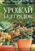 Урожай без грядок. Огород в контейнерах (Волкова Алёна, 2025)