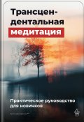 Трансцендентальная медитация: Практическое руководство для новичков (Артем Демиденко, 2025)