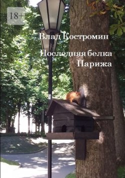 Книга "Последняя белка Парижа" – Влад Костромин