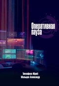 Оперативная пауза (Юрий Тимофеев, Александр Мальцев, 2025)