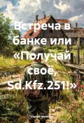 Встреча в банке или «Получай своё, Sd.Kfz.251!» (Сергей Мальцев, 2025)