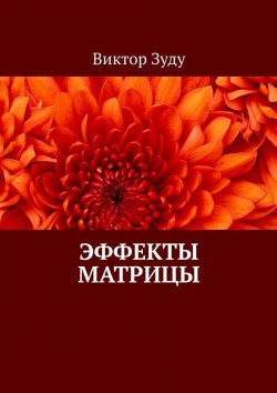 Книга "Эффекты матрицы" – Виктор Зуду