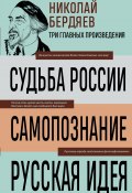 Судьба России. Самопознание. Русская идея (Николай Бердяев)