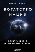 Богатство наций. Электричество и потребности мира (Роберт Брайс, 2020)