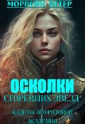 Осколки сгоревших звёзд. Книга 1. Кадеты Нефритовой Академии (Морвейн Ветер, 2025)