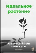 Идеальное растение: Как не ошибиться при покупке (Артем Демиденко, 2025)