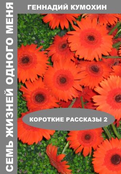 Книга "Семь жизней одного меня. Короткие рассказы 2" – Геннадий Кумохин, 2025