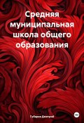 Средняя муниципальная школа общего образования (Губарев Дмитрий, 2025)