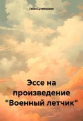 Эссе на произведение «Военный летчик» (Газиз Сулейманов, 2025)