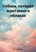 Собака, которая ждет меня в облаках (Вячеслав Гришко, 2025)