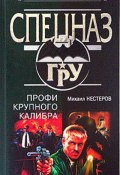 Профи крупного калибра (Михаил Нестеров, 2001)