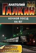 Книга "Ночной поезд на юг" (Анатолий Галкин)