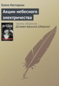 Книга "Акции небесного электричества" (Елена Нестерина, 2005)