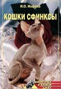 Книга "Кошки – сфинксы" (Дарья Нестерова)