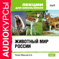Книга "Животный мир России" {Аудиокурсы} – 