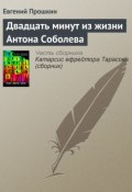 Двадцать минут из жизни Антона Соболева (Евгений Прошкин, 2003)