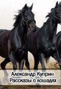 Рассказы о лошадях (Александр Куприн, 1907)