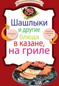Книга "Шашлыки и другие блюда в казане, на гриле" (, 2011)