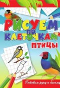 Книга "Птицы" (Виктор Зайцев, 2011)