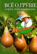 Книга "Всё о груше. Сорта, выращивание, уход" (Николай Звонарев, 2010)