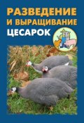 Разведение и выращивание цесарок (Илья Мельников, Александр Ханников, 2012)