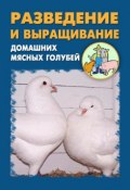 Разведение и выращивание домашних мясных голубей (Илья Мельников, Александр Ханников, 2012)