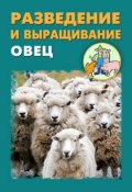 Разведение и выращивание овец (Илья Мельников, Александр Ханников, 2012)
