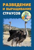 Разведение и выращивание страусов (Илья Мельников, Александр Ханников, 2012)