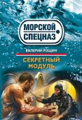 Книга "Секретный модуль" (Валерий Рощин, 2012)