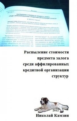 Книга "Распыление стоимости предмета залога среди аффилированных кредитной организации структур" – Николай Камзин, 2010