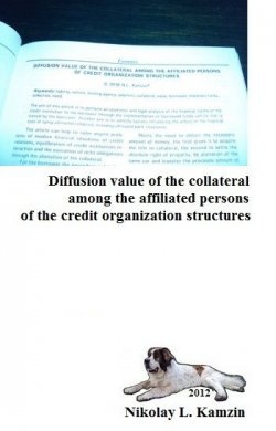 Книга "Diffusion value of the collateral among the affiliated persons of the credit organization structures" – Николай Камзин, 2010
