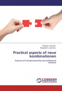 Книга "Practical aspects of neue kombinationen. Essence of entrepreneurship and settlement relations" – Николай Камзин, Елизавета Камзина, 2011