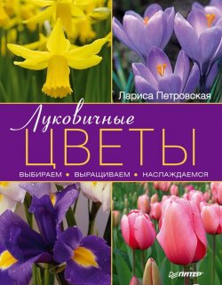 Книга "Луковичные цветы: выбираем, выращиваем, наслаждаемся" – Лариса Петровская, 2012