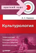 Культурология. Краткий курс (Анатолий Кармин, Анатолий Соломонович Кармин, 2010)