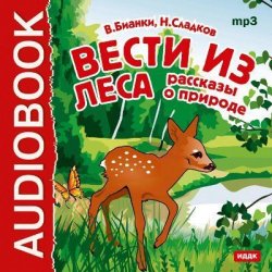 Книга "Вести из леса. Рассказы о природе" – Виталий Бианки