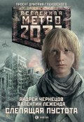 Слепящая пустота (Андрей Чернецов, Валентин Леженда, 2012)