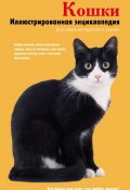 Кошки. Иллюстрированная энциклопедия (Юлия Фомина, 2011)