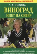 Виноград идет на Север (Галина Кизима, 2013)