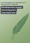 Внеоборотные активы: бухгалтерский и налоговый учет (С. Ю. Кузнецова, С. Кузнецова, ещё 3 автора, 2009)