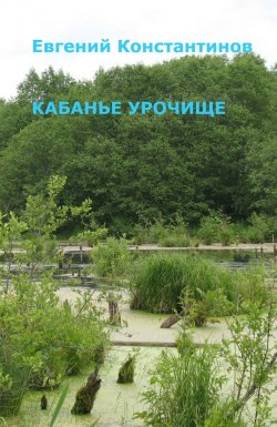 Книга "Кабанье урочище" – Евгений Константинов, 2013