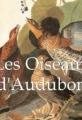 Книга "Les Oiseaux d\'Audubon" (John James Audubon)