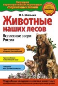 Книга "Животные наших лесов. Все лесные звери России" (Ю. К. Школьник, 2013)