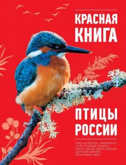 Книга "Красная книга. Птицы России" {Красная книга (Эксмо)} – Оксана Скалдина, 2013
