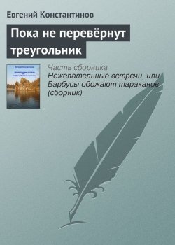 Книга "Пока не перевёрнут треугольник" – Евгений Константинов