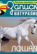 Книга "Рассказы классиков о животных. Лошади" ()